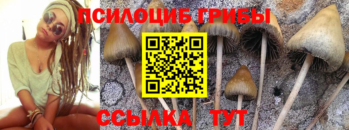 Галлюциногенные грибы GOLDEN TEACHER Новоалександровск
