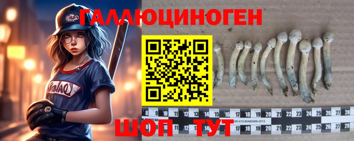 Псилоцибиновые грибы мухоморы  Вход с VPN  Новоалександровск 